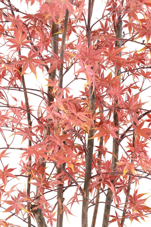 Kunstig Aralia Plante Uv Udendørs 180 Cm Rød