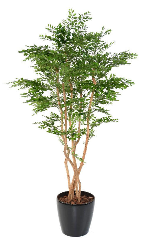 Kunstig Akacieplante 5 Stammer H.180Cm Grøn