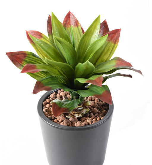 Kunstig Plante Agave Kaktus Udendørs 35Cm