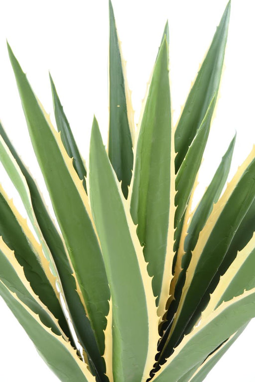 Kunstig Plante Agave Furcraea 110Cm Grøn Gul