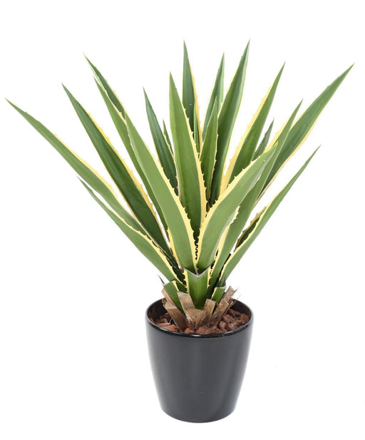 Kunstig Plante Agave Furcraea 110Cm Grøn Gul