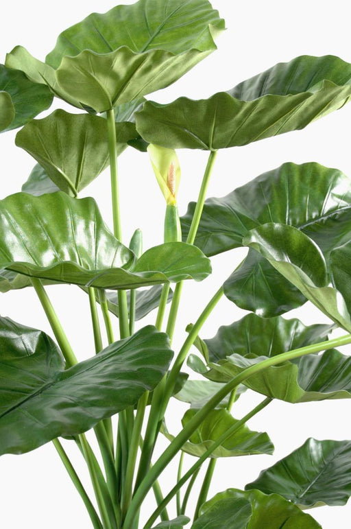 Kunstig Plante Alocasia 120Cm Indvendig Dekoration
