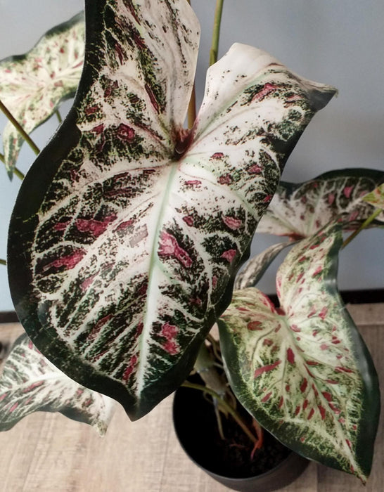 Kunstig Alocasia Plante 75 Cm Til Indendørs