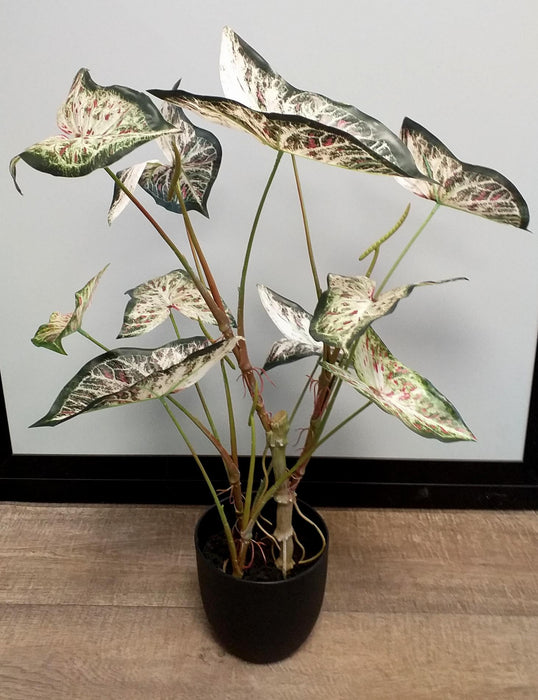 Kunstig Alocasia Plante 75 Cm Til Indendørs