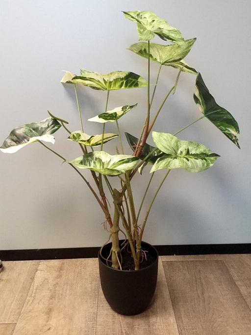 Kunstig Alocasia Plante 75Cm Med Sort Potte