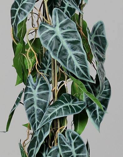 Kunstig Alocasia Plante 80Cm I Grøn Potte