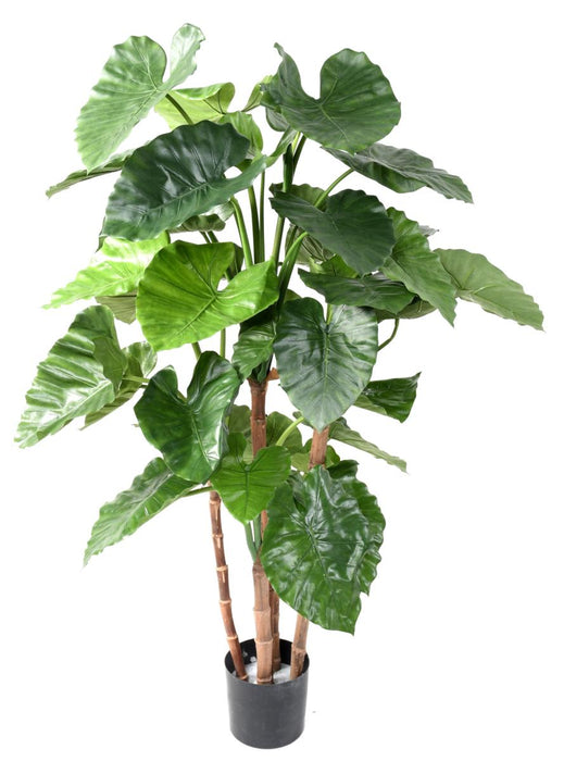 Kunstig Plante Alocasia Calidora 170 Cm Indendørs
