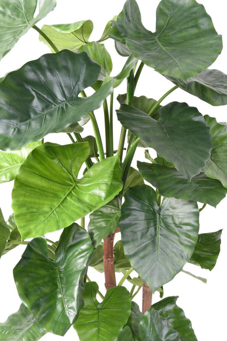 Kunstig Plante Alocasia Calidora 170 Cm Indendørs