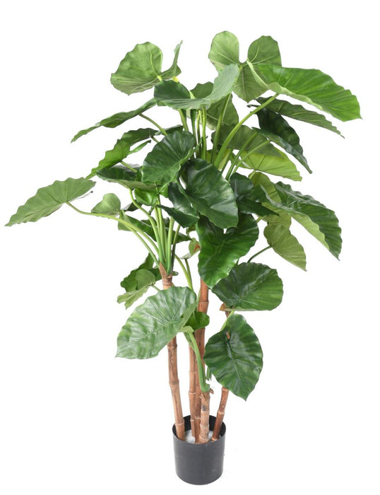 Kunstig Plante Alocasia Calidora 170 Cm Indendørs