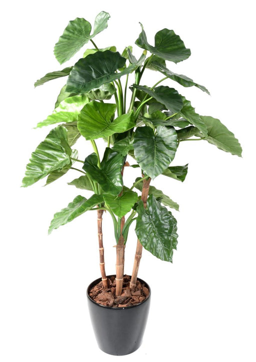 Kunstig Plante Alocasia Calidora 170 Cm Indendørs