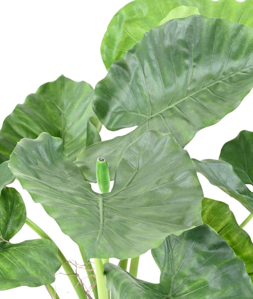 Kunstig Plante Alocasia Calidora 65Cm Interiørdekoration