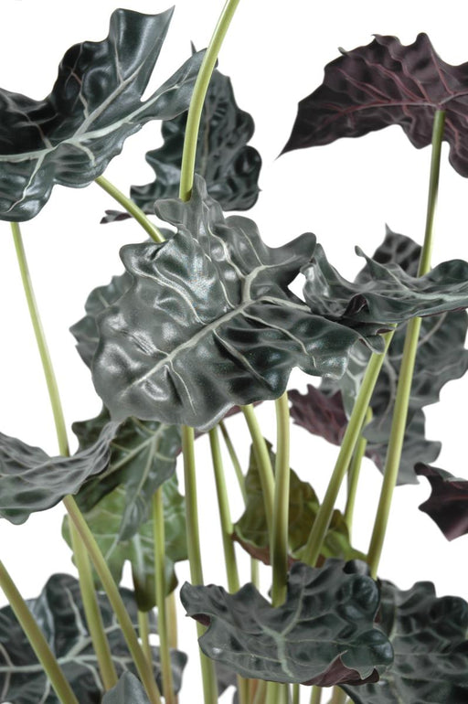 Kunstig Plante Alocasia H.110Cm Grøn Rød