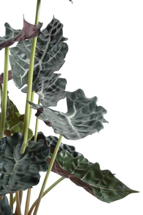 Kunstig Plante Alocasia H.110Cm Grøn Rød