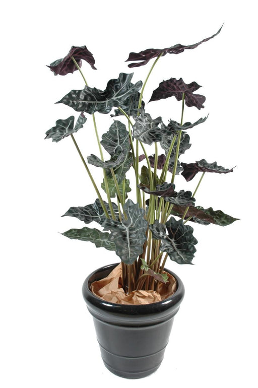 Kunstig Plante Alocasia H.110Cm Grøn Rød