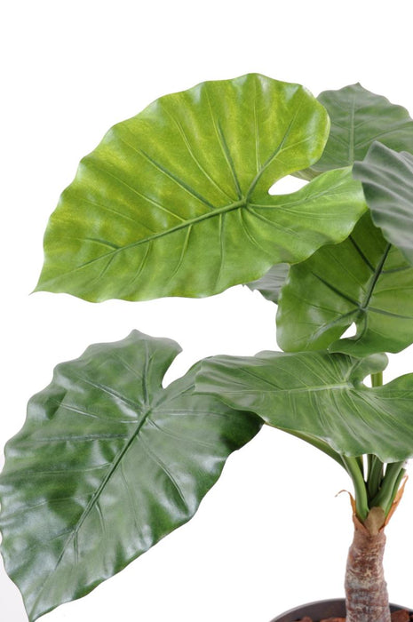 Kunstig Alocasia Plante H.80 Cm Til Dekoration