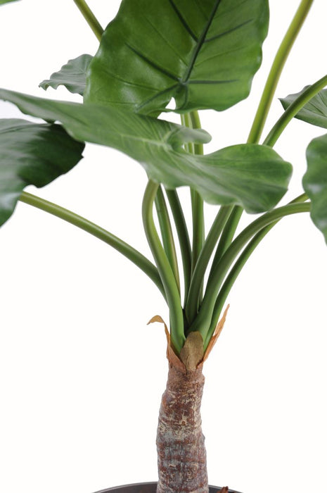 Kunstig Alocasia Plante H.80 Cm Til Dekoration