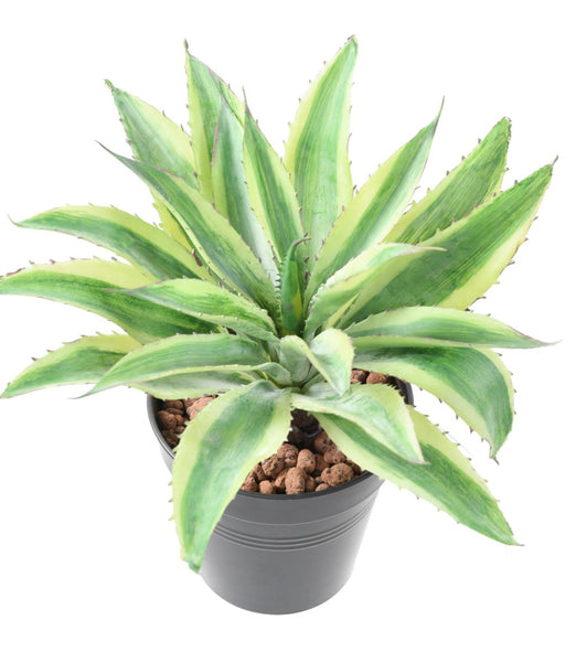 Kunstig Plante Aloe Cactus Indendørs 27Cm Grøn