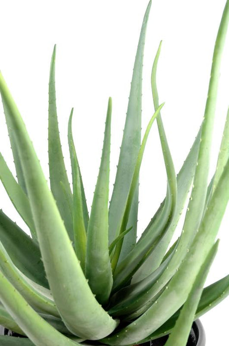 Kunstig Aloe Vera Plante 70 Cm Til Pynt