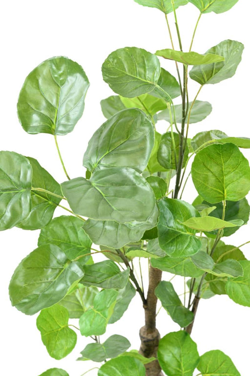 Aralia Kunstig Plante 90 Cm Til Indendørs