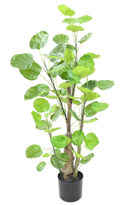 Aralia Kunstig Plante 90 Cm Til Indendørs