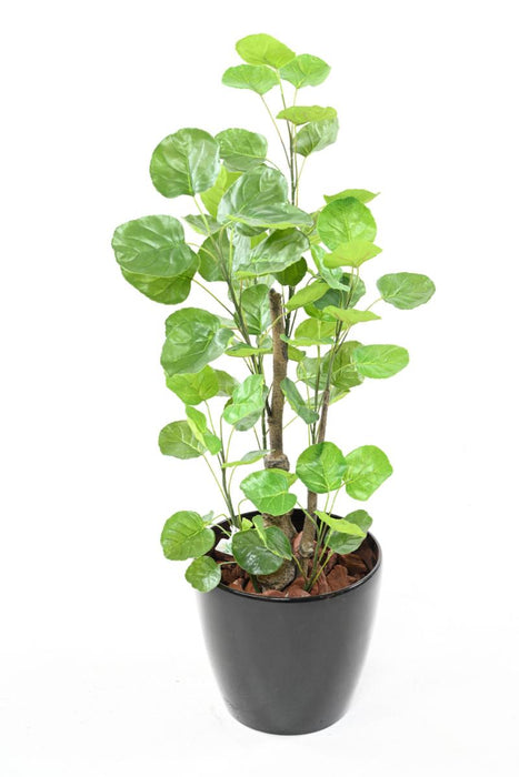Aralia Kunstig Plante 90 Cm Til Indendørs