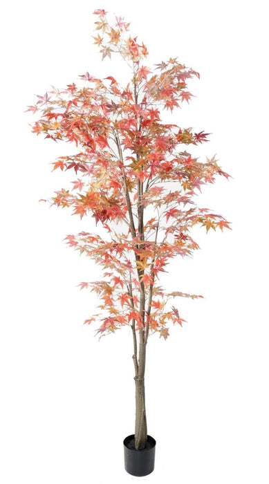 Kunstig Plante Aralia Rød H.220Cm Til Indendørs