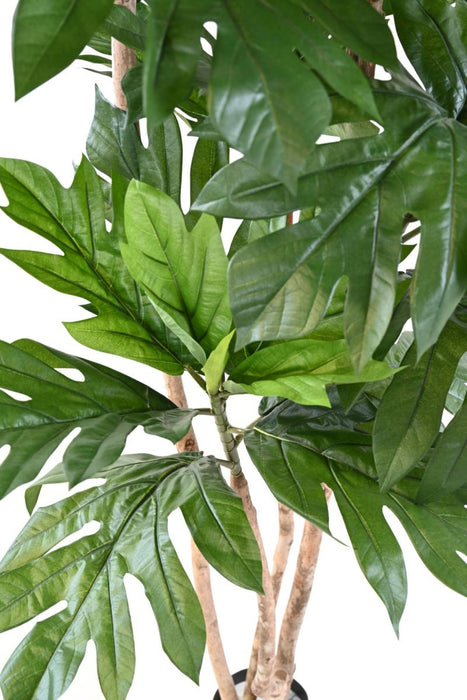 Kunstig Plante Brødfrugt H.200Cm Grøn