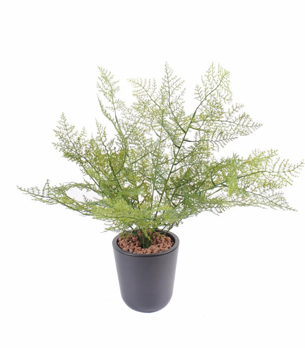 Kunstig Aspargesplante 50 Cm Grøn Pæl