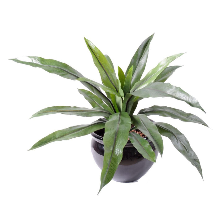 Kunstig Asplenium Plante 15 Blade 40Cm Grøn