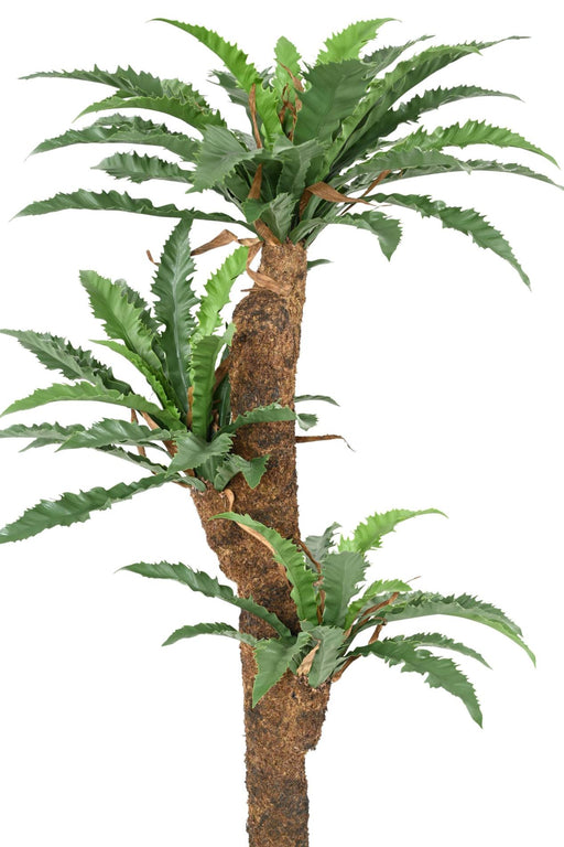 Kunstig Asplenium Plante H130Cm Til Indendørs