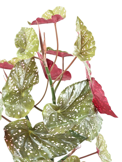 Kunstig Plante Begonia Maculata 70Cm Grøn Rød