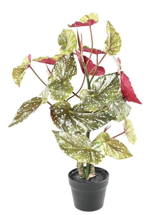 Kunstig Plante Begonia Maculata 70Cm Grøn Rød