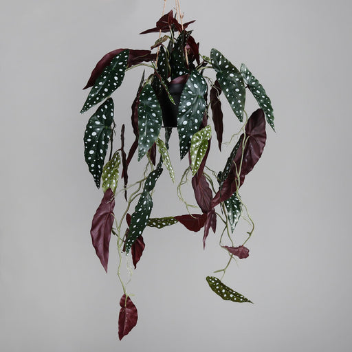 Kunstig Plante Begonia Muculata Hængende 90Cm