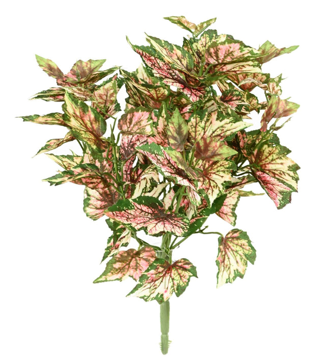 Kunstig Plante Begonia Rex 37 Cm Broget