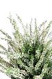 Kunstig Plante Hvid Lyng 35Cm I Potte