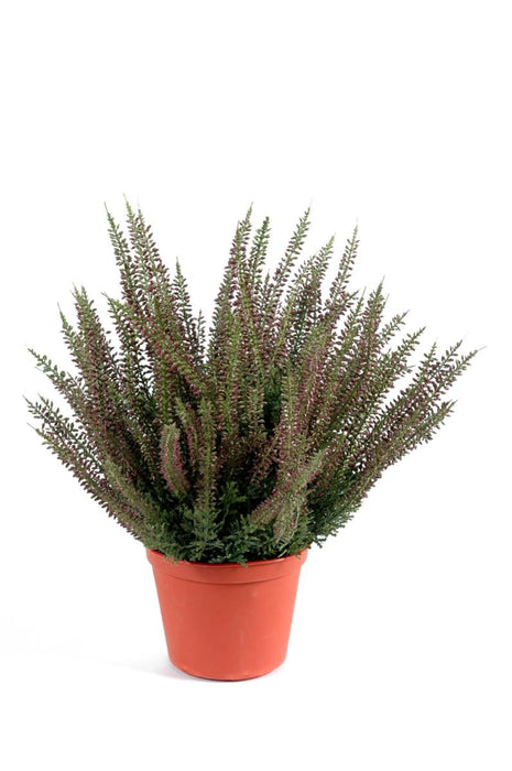 Kunstig Plante Pink Lyng I Potte 35Cm