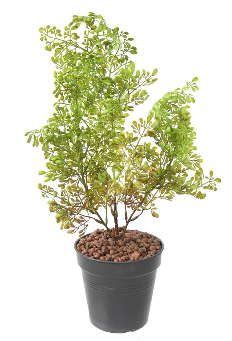 Kunstig Plante Buxus Stake 50Cm Mørkegrøn