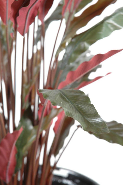 Kunstig Calathea Plante 85Cm Grøn Rød Dekorativ