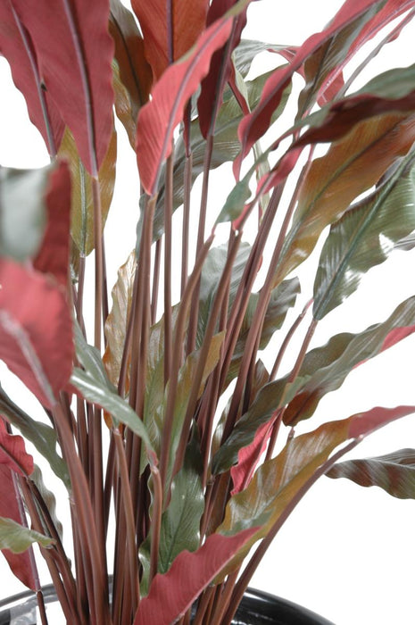 Kunstig Calathea Plante 85Cm Grøn Rød Dekorativ