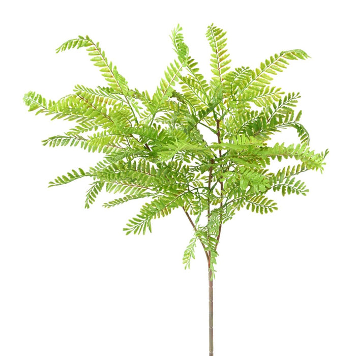 Kunstig Plante Cassia H.75Cm Indendørs Udendørs
