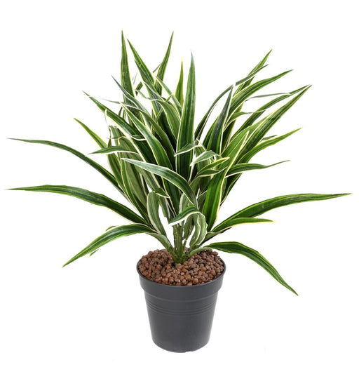 Kunstig Plante Chlorophytum 42Cm Broget