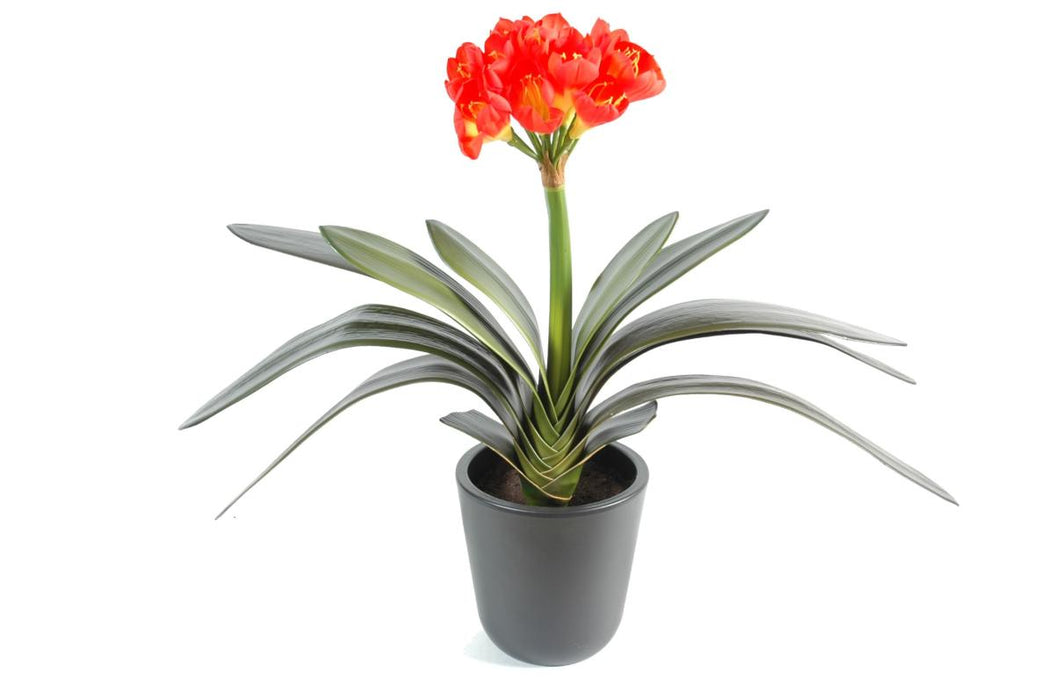 Kunstig Clivia Plante 16 Orange Gule Blomster H.45Cm