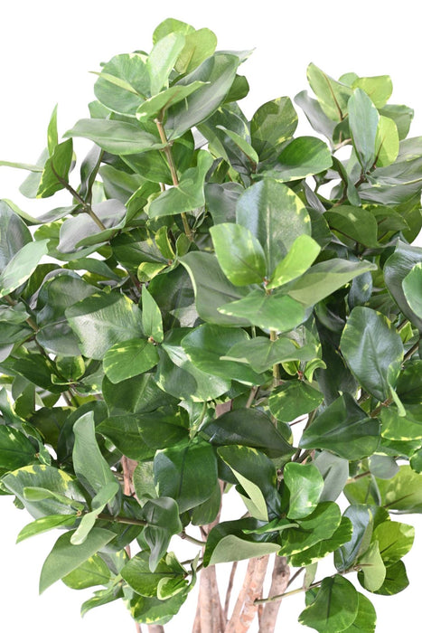 Kunstig Plante Clusia Bush 95Cm Indvendig Dekoration