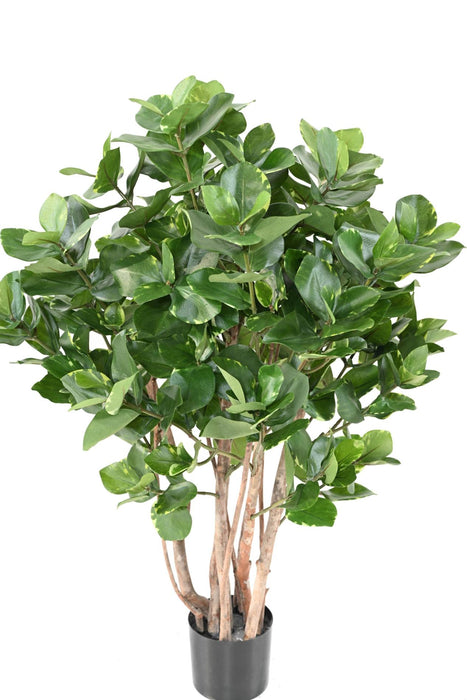 Kunstig Plante Clusia Bush 95Cm Indvendig Dekoration