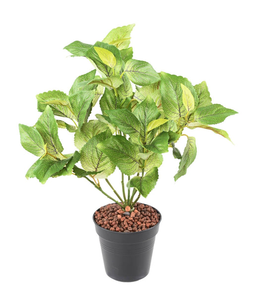 Kunstig Plante Coleus 40Cm Til Indretning