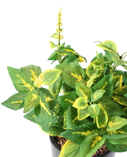 Kunstig Plante Coleus 40Cm Grøn Gul Stikkende