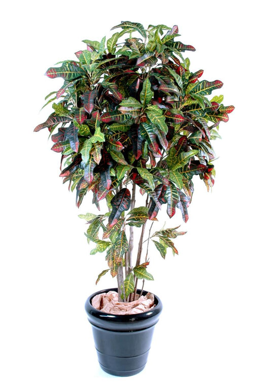 Kunstig Croton Plante 150 Cm Lyse Farver
