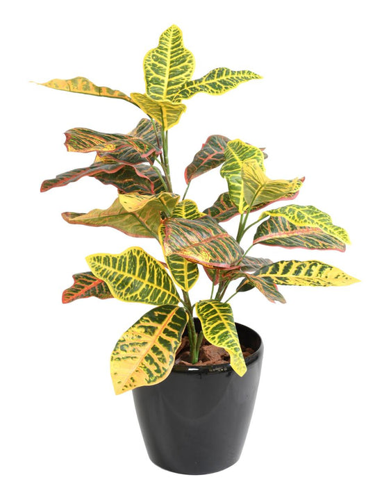 Kunstig Croton Plante Med Pæl 70 Cm Farverig