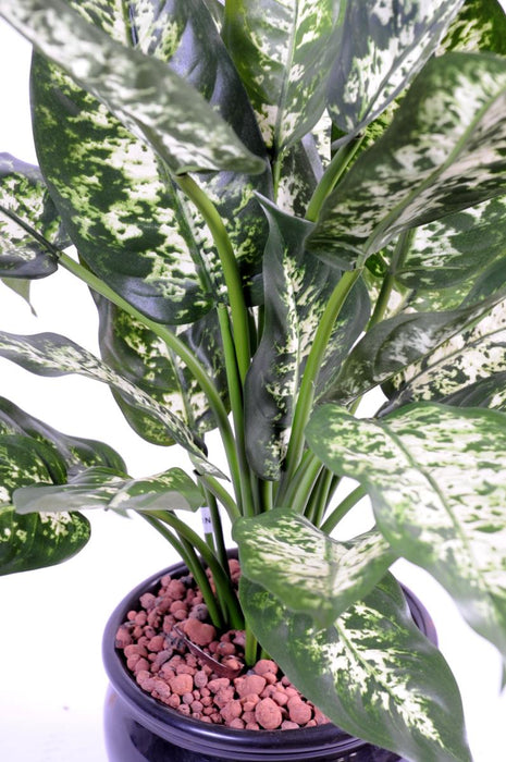 Kunstig Dieffenbachia Plante 51 Cm I Pot