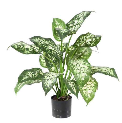 Kunstig Dieffenbachia Plante 51 Cm I Pot